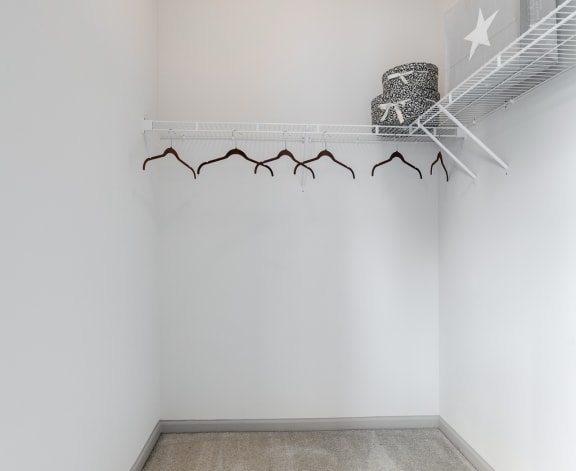 Spacious Walk-In Closet