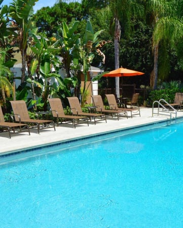 Pool Lounge Area at Green Oaks Apartments, Tampa, FL