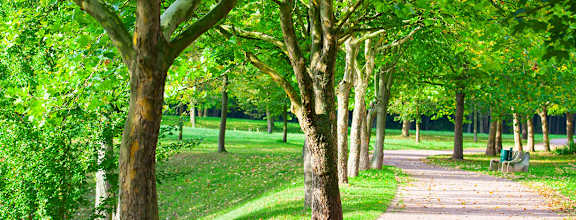 Landscape Pathway at VIEWCREST APARTMENTS, Hermiston