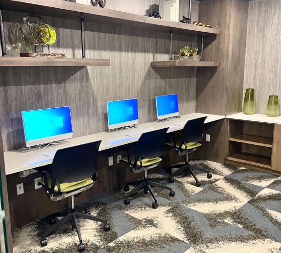 Business Center at The Grand at Stonecreek, San Marcos, TX