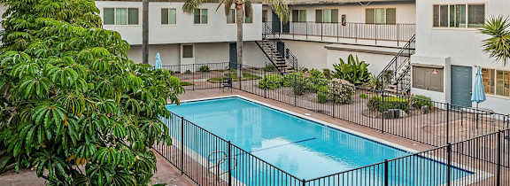 A swimming pool surrounded by a black fence and palm trees.