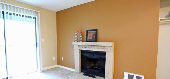 all homes come with wood burning fireplace