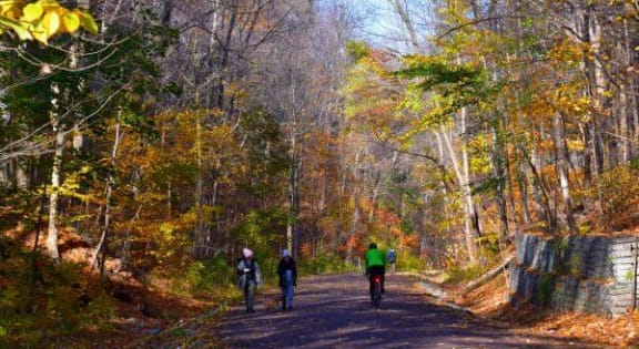 a group of people walking down a road in the woods