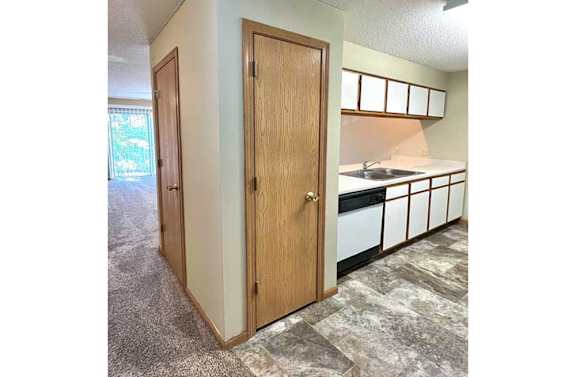 a closed kitchen pantry next to a dishwasher and cabinets