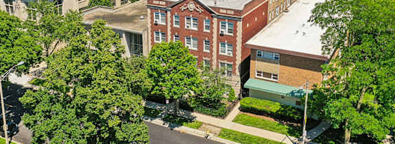 A tree-lined street in front of a row of houses.