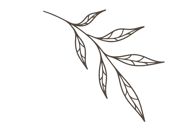 Leaf branch graphic on a white background.