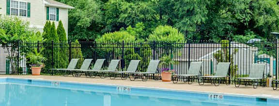A large outdoor swimming pool surrounded by trees and lounge chairs.