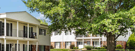 A grassy area in front of a building with a tree in the middle.