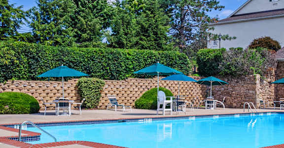 Our pool
