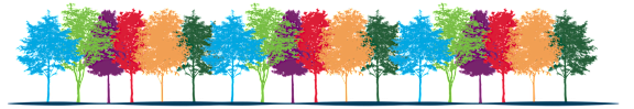 A row of trees with different colored leaves.
