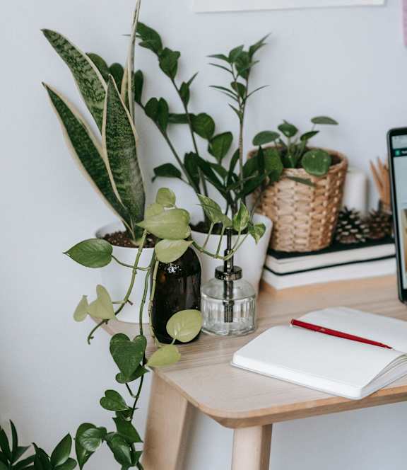 A desk with a plant, a notebook, and a pen neatly arranged.