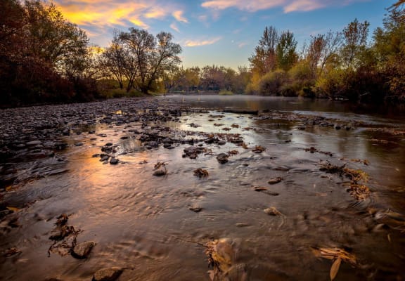River at Reedhouse, Boise, ID