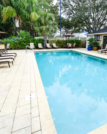 Pool Area Westminster Tampa Florida