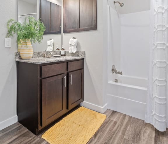 Bathroom With Wood-Style Flooring