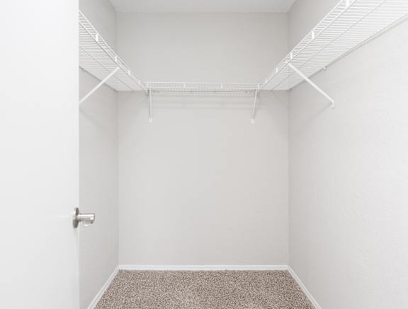 Large Closets with Shelves