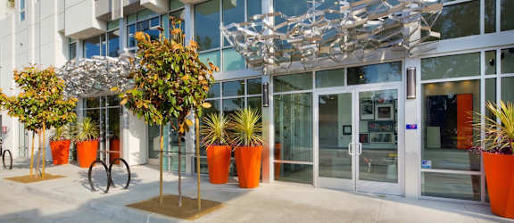 A modern building with a glass facade and orange planters in front.