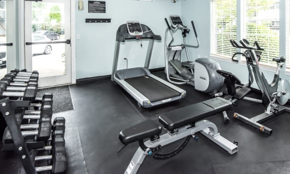 Modern Fitness Center at Valley River Court, Eugene
