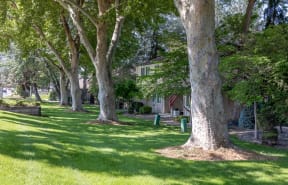 La Verde Apartments Landscaping and Trees