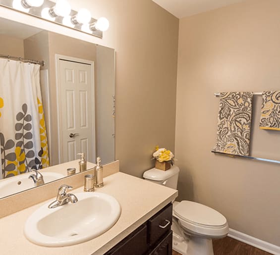 a bathroom with a sink toilet and a mirror