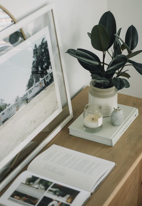 A display cabinet counter decorated with a frame, a planter on top of a book, a candle, and an opened book.