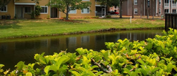 Small Lake on site Mira Lagos Bradenton, Florida