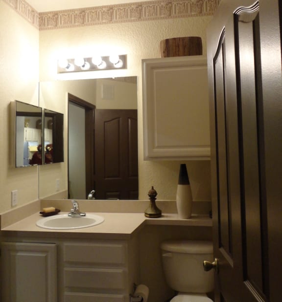 Interior Bathroom Sink Mirror Toilet Allegro Palms Riverview Florida