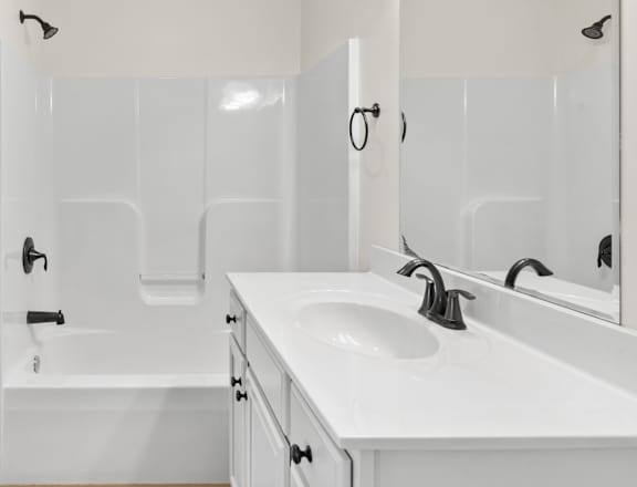 a bathroom with a sink and a shower and a mirror
