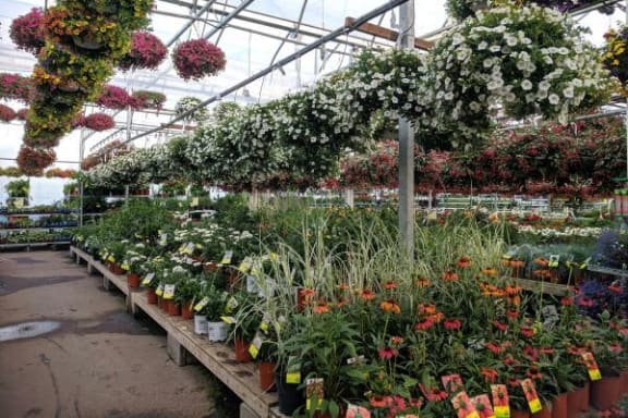 a greenhouse filled with lots of flowers and plants