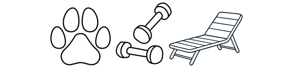A blue line drawing of a lounge chair.