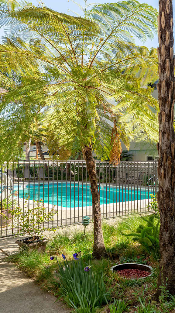 A pool surrounded by a fence and a building.