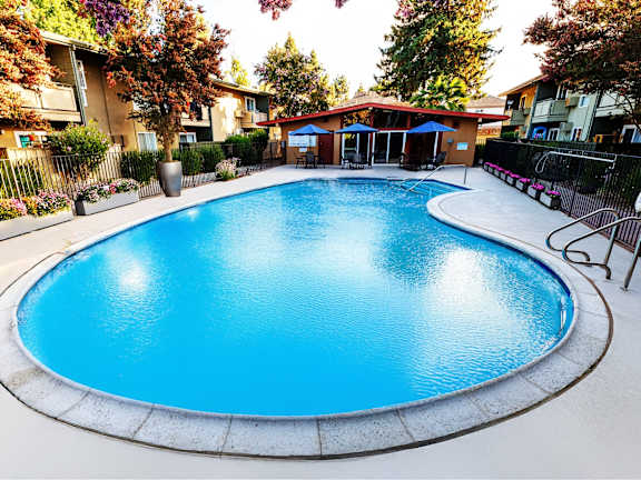 A blue swimming pool surrounded by a fence and trees.