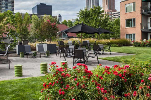 The Douglas Apartments Outdoor Courtyard and Landscaping