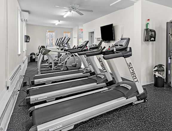 the gym has cardio equipment and weights in it