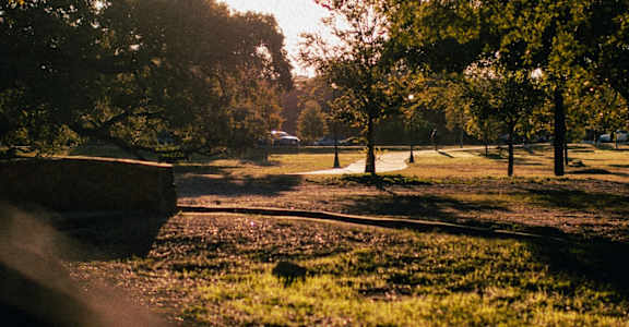 The sun is shining through the trees in a park.