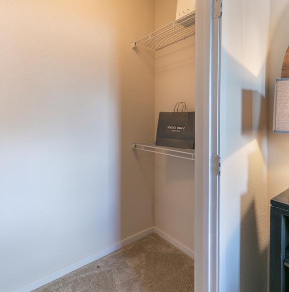 A small closet with a white door is open.