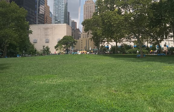 A park with a grassy area and trees in the foreground with a city skyline in the background.