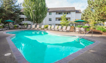 Elmonica Court swimming pool with lounge chairs and umbrella 
