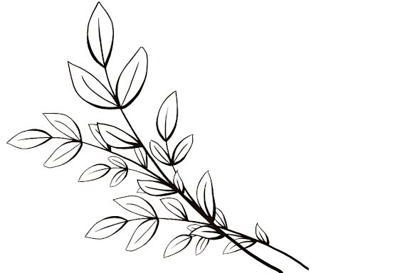 Leaf branch graphic on a white background.