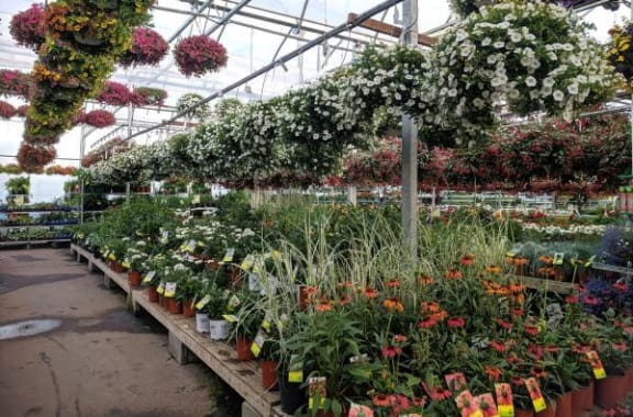 a greenhouse filled with lots of flowers and plants