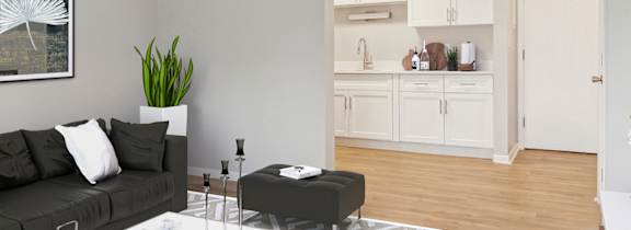 A living room with a black couch, a coffee table, and a television.