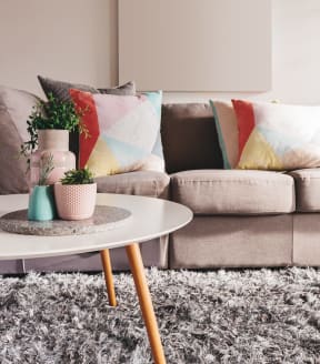 A living with a sofa and coffee table with potted plants 