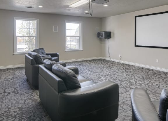 Theatre Room