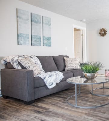 GoGo Heights Apartments living room and couch