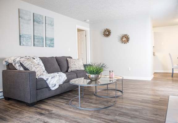 GoGo Heights Apartments living room and couch