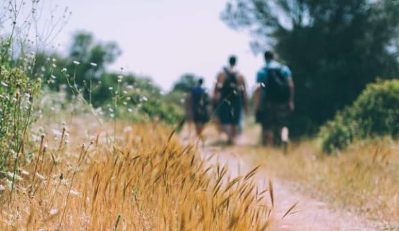 a group of people walking down a dirt road