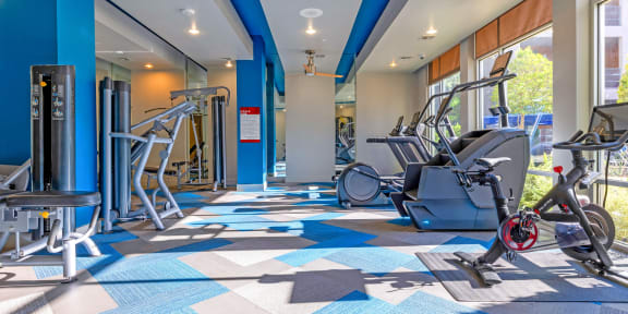 a home gym with weights and cardio equipment