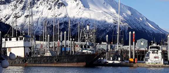 Seward Bay