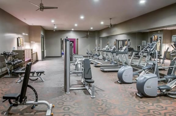 a gym with cardio equipment and weights on the floor