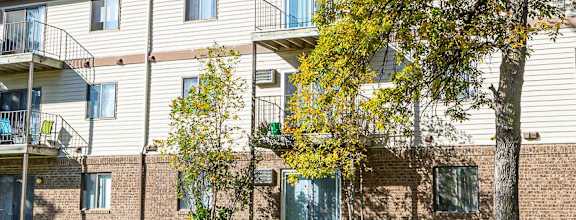 A tree with yellow leaves is in front of a building.