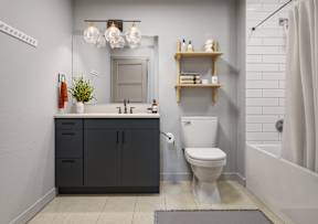 The Whitney-Bathroom Rendering